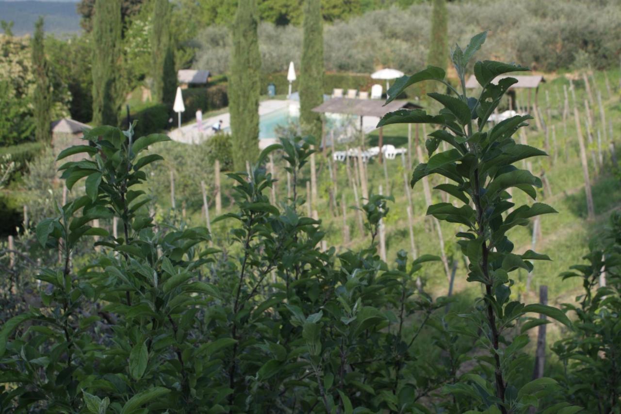 Agriturismo L' Agresto Villa Casole dʼElsa Esterno foto